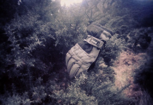 f24b4754e74ebce24482278d1f333c86