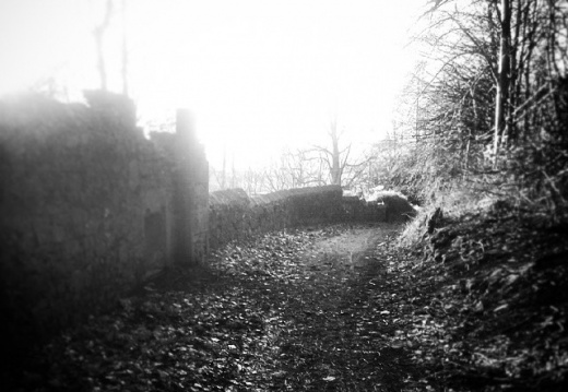 0e868ab7391d95d2e6fdce17f827f1a6