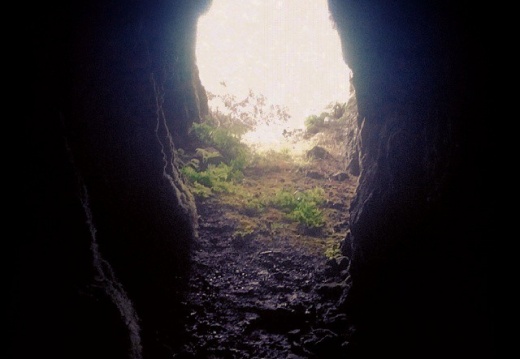 1cdedb035dae56aa3dbc049574423281