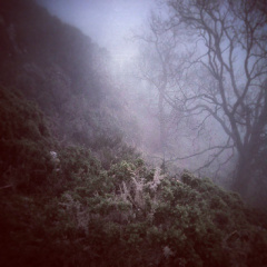 2dd15b43883424a4a839721b7d0d2f17