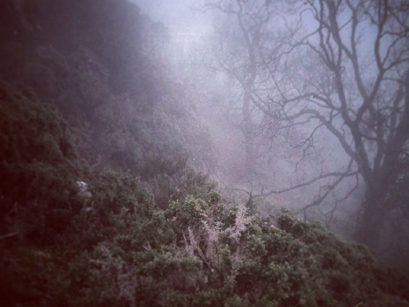 2dd15b43883424a4a839721b7d0d2f17