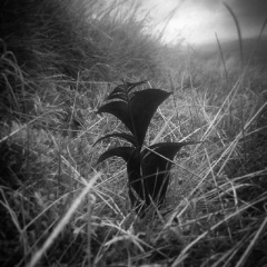 6b0f50a2f407fb6b09e7fe3e023ce409