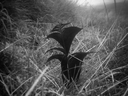 6b0f50a2f407fb6b09e7fe3e023ce409