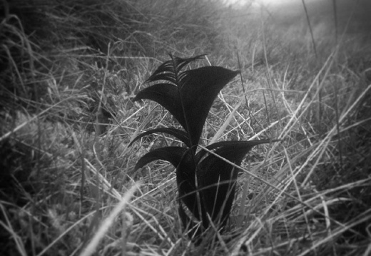 6b0f50a2f407fb6b09e7fe3e023ce409