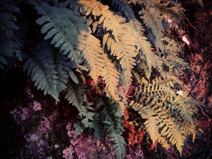 58c880c9ce2cc37b75f1645656362dc9