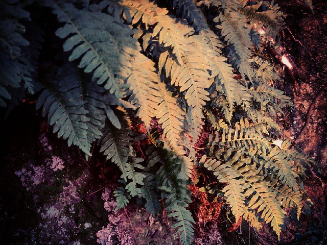 58c880c9ce2cc37b75f1645656362dc9