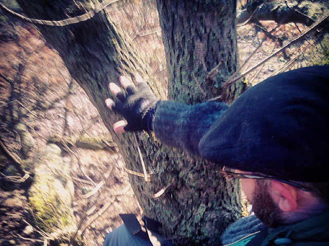 77d0adb241c651256128926288f834c5