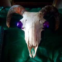 90178b9c5a5e5af9d4213bb3640b1536