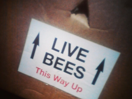 4411147784af0fc2acbc53a7191f7a9c