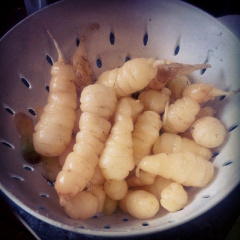 efb1376998e5abb127a86b6508284a73