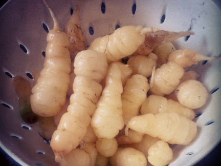 efb1376998e5abb127a86b6508284a73