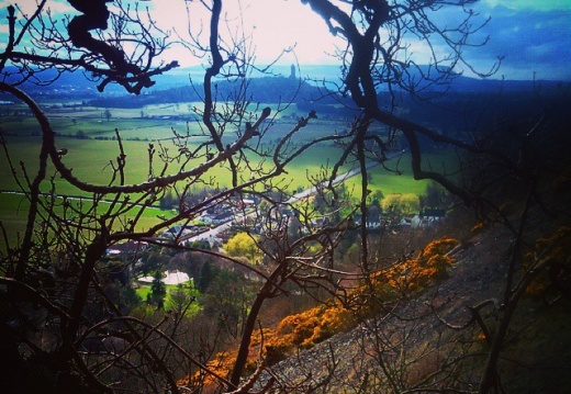 e0d99f165c050e2697ccb71d040e24b8