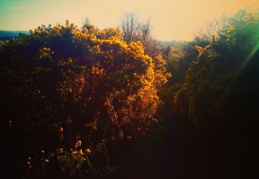 e2d88ec124eac6683d465497e7bc7d0d