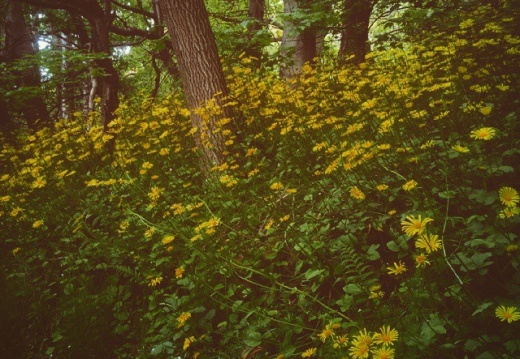 f9fc8dba11bba533cce887b874b7daff