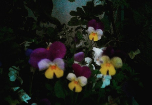 87dc421bfe9589fe55492ad6ca116bff