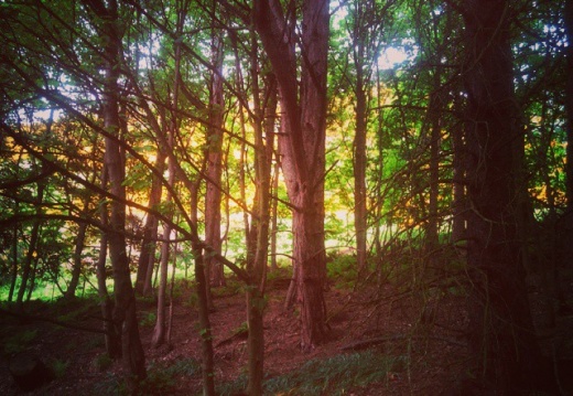 95c9c493cdaefcba0b6bed5fc77d7ba2