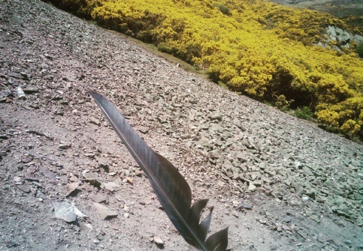 18f073997b5d61778d6ee2367b017559