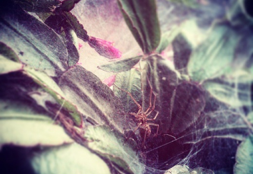 9449da13e0c865821ac391591714a136