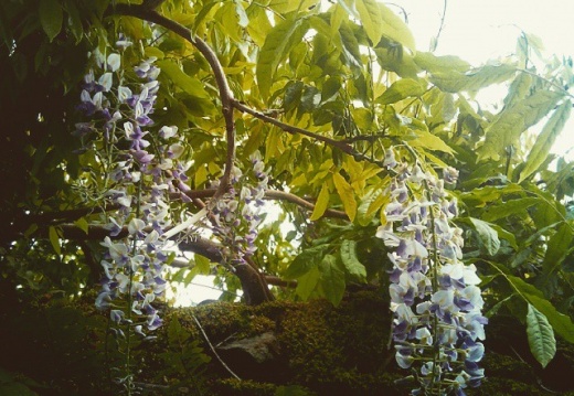 68204bef20706f5dadf63a0a0bdb1f2b