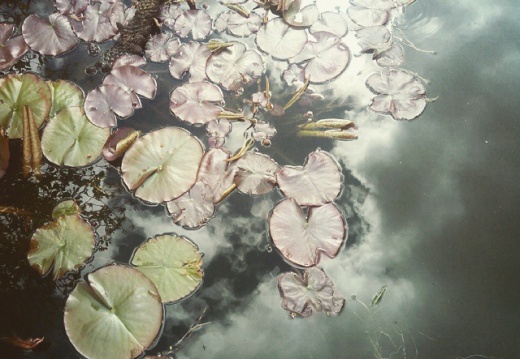 6192850684bdca08a46a101867316732