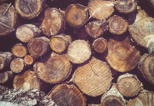 ba81a87d96885e178bdc753f17ad7e42