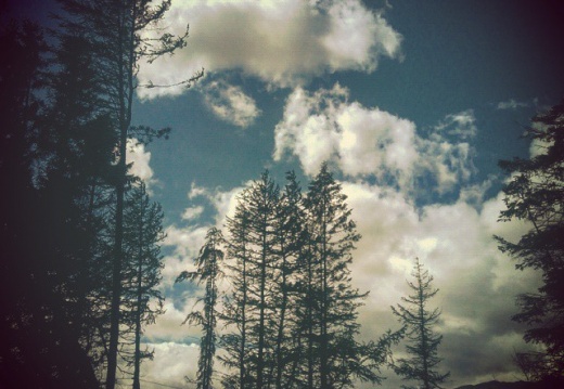 cb9d60315fdaeb40fcbecda63072839b