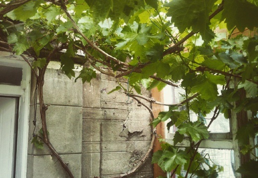 d12768b710907851445352c57f7108d3