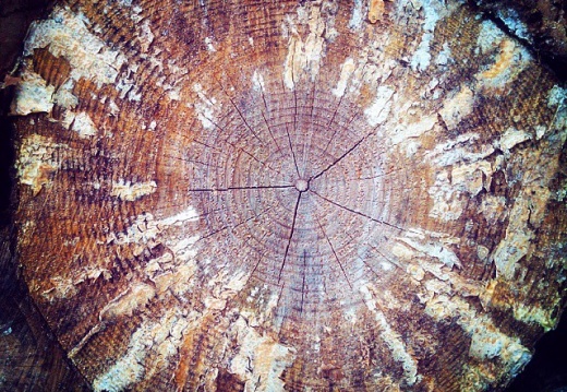 e83ed38f4ddd3b2e14cef21efe213046