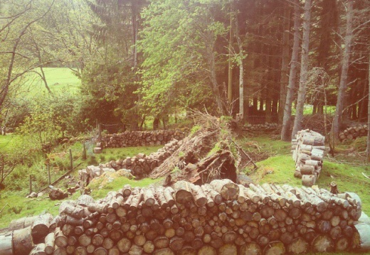 0bb2e7554448db5d2794fc2eb4f3d0c4