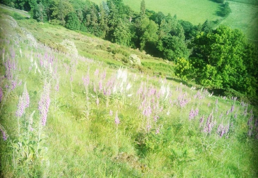 4df5c628a8e5c39a8dce2283da433222