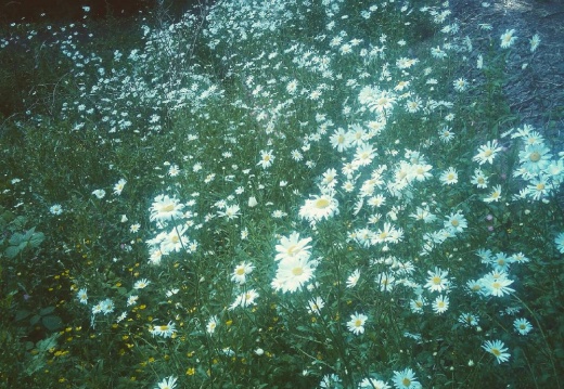 95e14b426eb2f05219f982c457bb405f