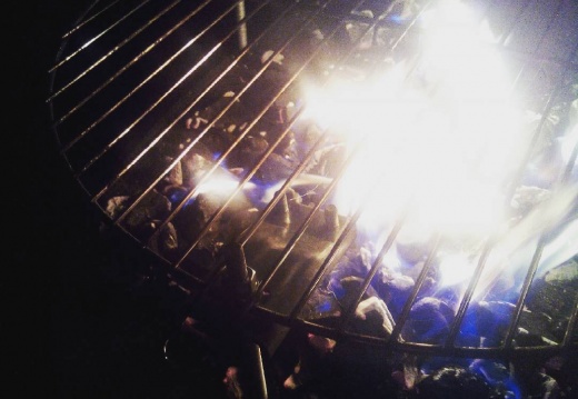 527f0c633aea85e953ea31173fa5d05f