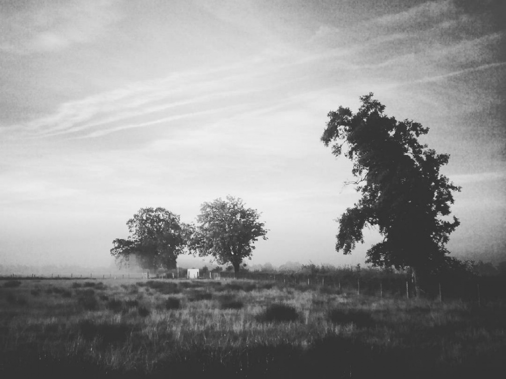 69ef3f656025ed386083d0031058e4df