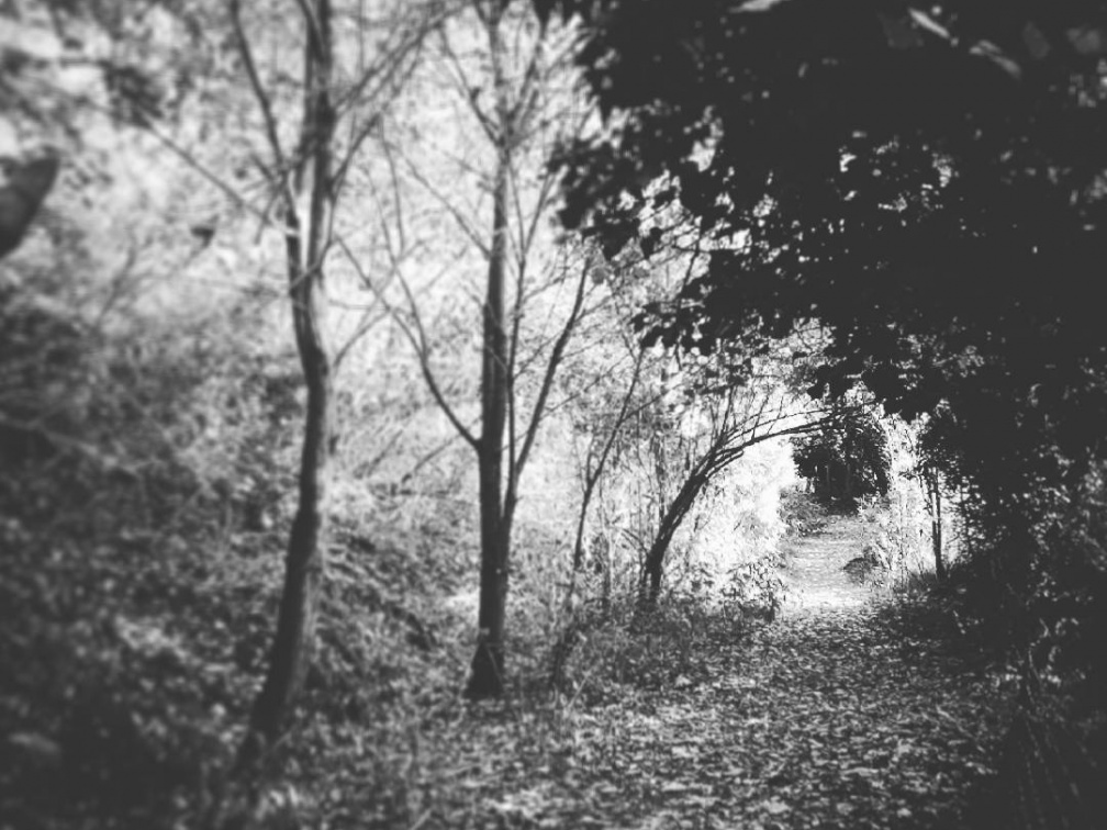 71c4bf7d022d5819552f47ff3ca384ee