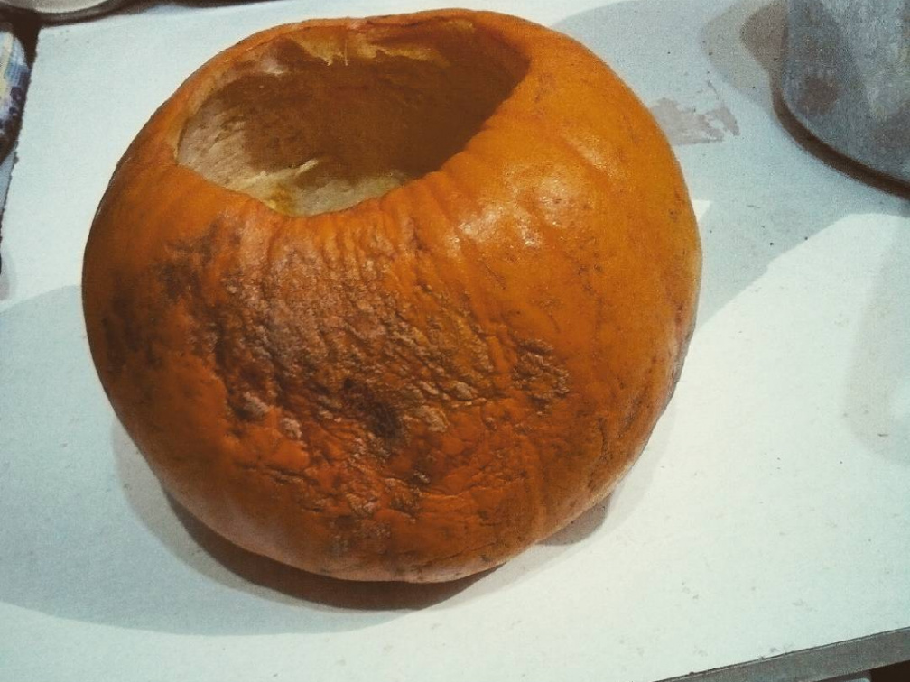 e5f58538a04c8a07309b16dba7e9922e