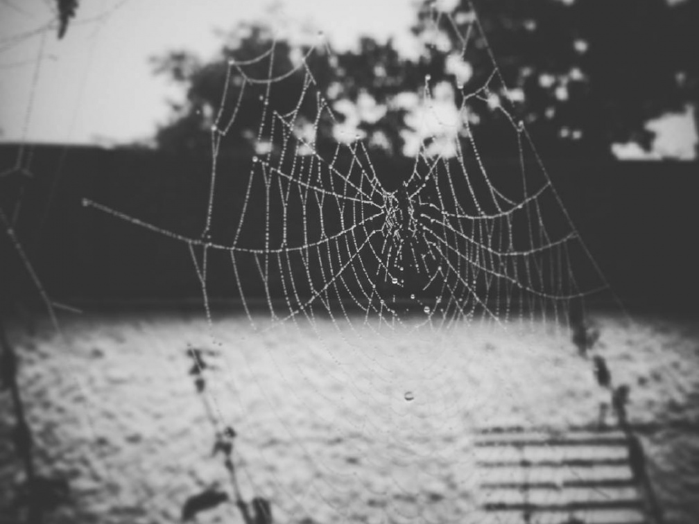 4f7cce8bd02d0e6758a8bd683b7eef41