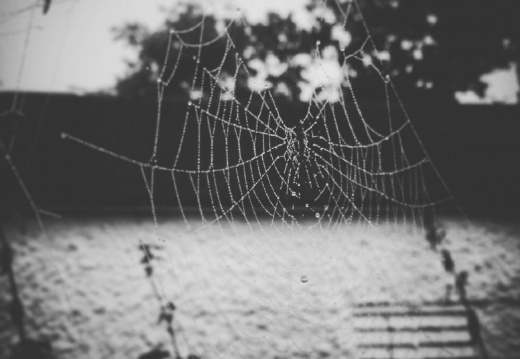 4f7cce8bd02d0e6758a8bd683b7eef41