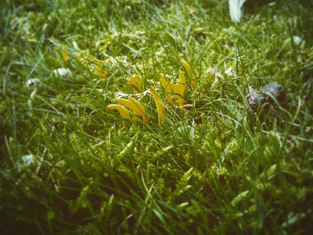 9e0b8d3b48c278e9031dff53463f2d17