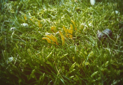 9e0b8d3b48c278e9031dff53463f2d17