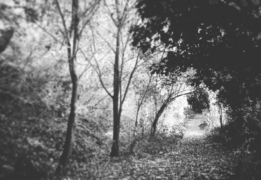 71c4bf7d022d5819552f47ff3ca384ee