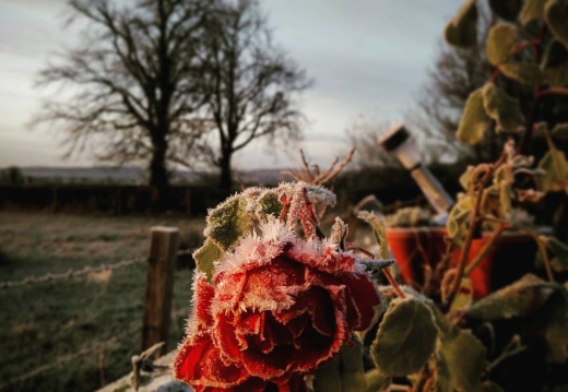 88c149a82e4e64dc1179feff3cf2d526