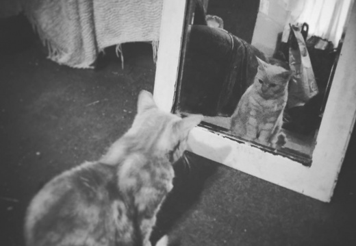 a67bdf5405472847aa981b7e1288b90c