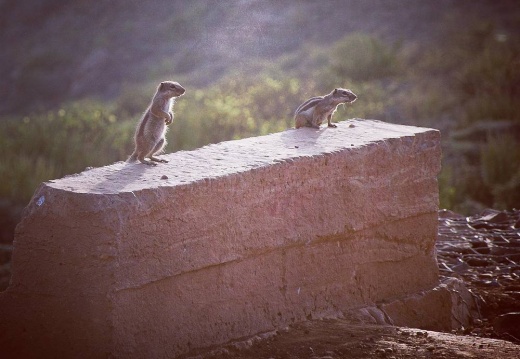 62f076fa55098fde62411aff75a58b1f