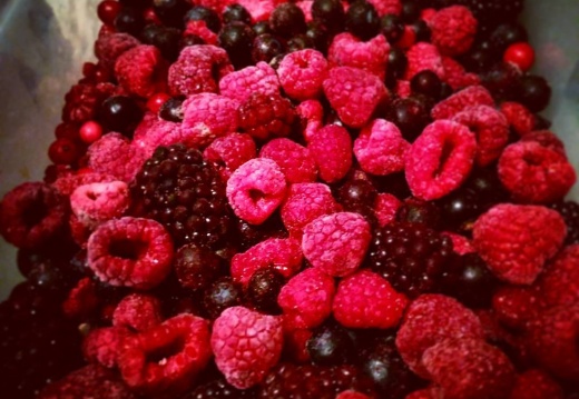 f12ae184cc784b9d99e1189261359932