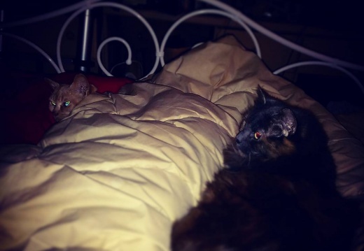 a12e7be6e309e280560c2bde044750a2