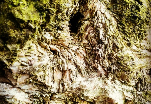 a2183ed66e3734425a4ee975461f8fc1