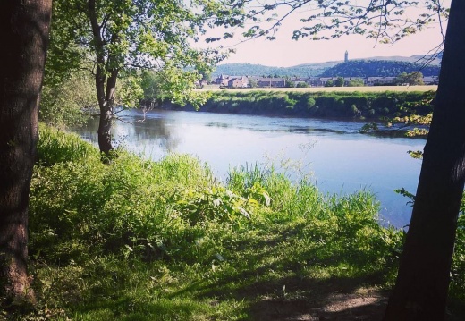 56a19ae2bc867c151dfb13274d446b9e