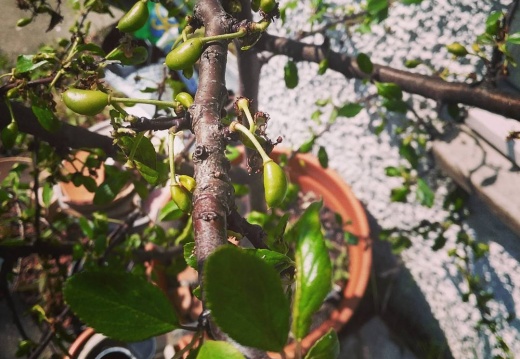 301bac92fe8c182880262516cf52a384