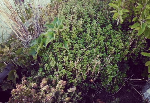 524401c90ba1537ee8f3a41c8c64a143