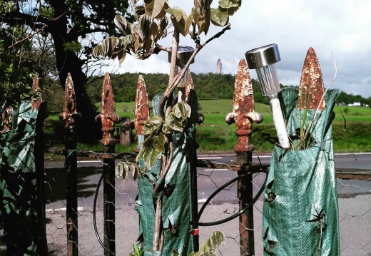 c6dcbe68a094180128f1b7dc1ecad922